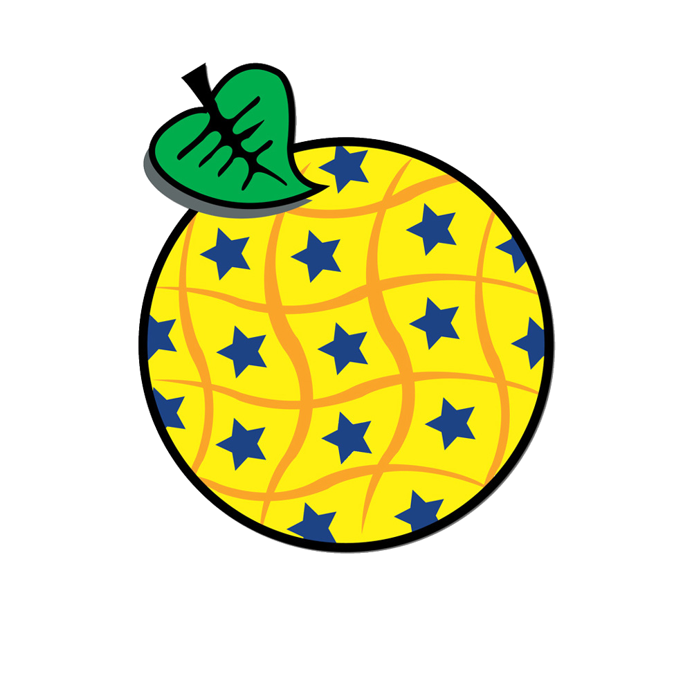 Implementación INSPIRE